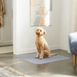 Skout's Honor Dog Pee Pad Refresher Spray, 28-oz Bottle & Frisco Washable Dog Potty Pads -Frisco Sales Store 772958 PT8. AC SS1800 V1676752183