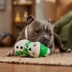 Frisco Holiday Snowman Latex Squeaky Dog Toy -Frisco Sales Store 773870 PT3. AC SS1800 V1695044328