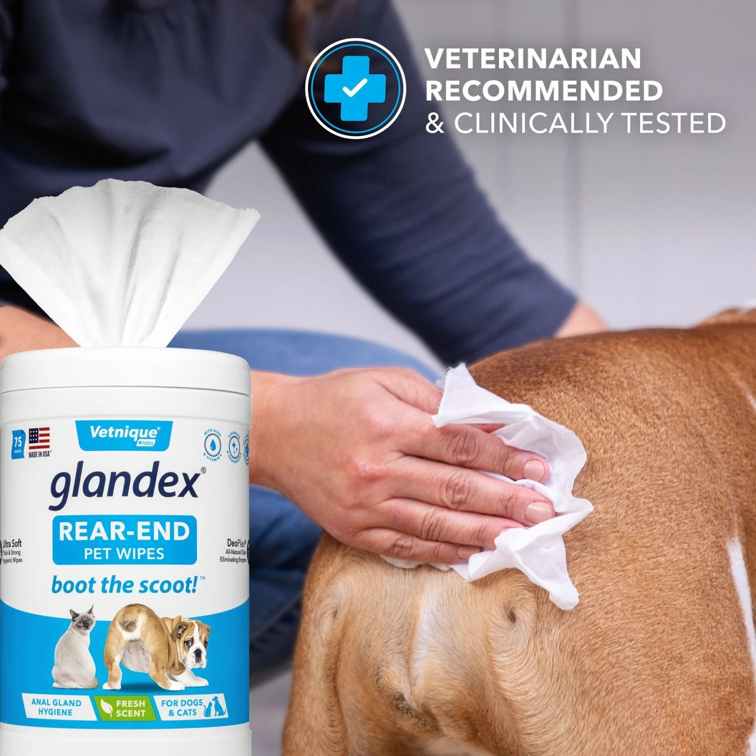 Vetnique Labs Glandex Wipes Rear End Anal Gland Cleansing & Deodorizing Hygienic Rear End Boot the Scoot Dog & Cat Wipes & Frisco Disposable Male Dog Wraps Vetnique Labs Glandex Wipes Rear End Anal Gland Cleansing & Deodorizing Hygienic Rear End Boot The Scoot Dog & Cat Wipes & Frisco Disposable Male Dog Wraps -Frisco Sales Store 826454 PT4. AC SS1800 V1682018155