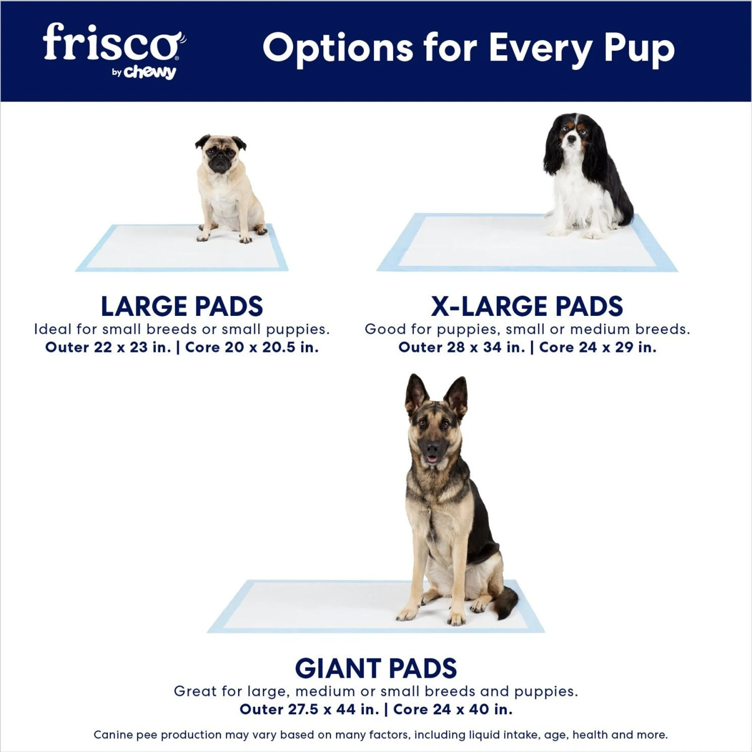 Frisco Premium Dog Training & Potty Pads Frisco Premium Dog Training & Potty Pads -Frisco Sales Store 89562 PT3. AC SS1800 V1674674460