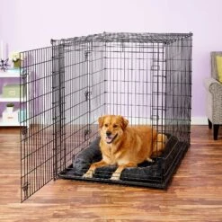 Frisco Heavy Duty Enhanced Lock Double Door Fold & Carry Wire Dog Crate & Mat Kit & MidWest Quiet Time Fleece Dog Crate Mat -Frisco Sales Store 947398 PT8. AC SS1800 V1693920163