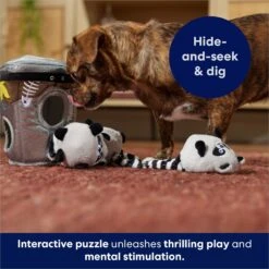 Frisco Trash Can & Raccoons Hide & Seek Puzzle Plush Squeaky Dog Toy & ZippyPaws Burrow Squeaky Hide & Seek Plush Dog Toy, Hedgehog Den -Frisco Sales Store 947446 PT4. AC SS1800 V1693601987