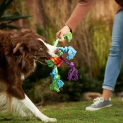 Frisco Fetch Colorful Ball Knot Rope Dog Toy & Frisco Monkey Plush With Rope Squeaky Dog Toy -Frisco Sales Store 962014 PT2. AC SS1800 V1694784008