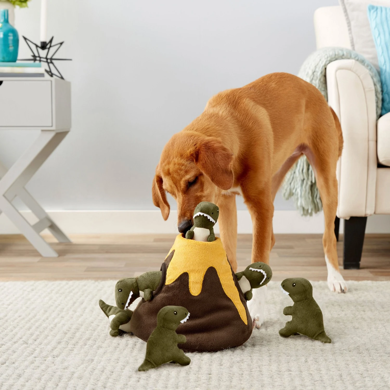 Frisco Volcano Hide & Seek Puzzle Plush Squeaky Dog Toy & Frisco Trash Can & Raccoons Hide & Seek Puzzle Plush Squeaky Dog Toy Frisco Volcano Hide & Seek Puzzle Plush Squeaky Dog Toy & Frisco Trash Can & Raccoons Hide & Seek Puzzle Plush Squeaky Dog Toy -Frisco Sales Store 962054 PT4. AC SS1800 V1694783953