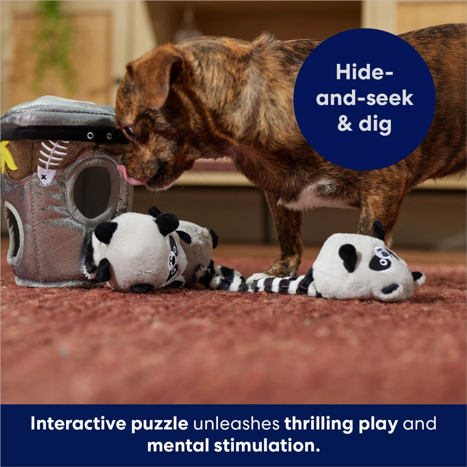 Frisco Volcano Hide & Seek Puzzle Plush Squeaky Dog Toy & Frisco Trash Can & Raccoons Hide & Seek Puzzle Plush Squeaky Dog Toy Frisco Volcano Hide & Seek Puzzle Plush Squeaky Dog Toy & Frisco Trash Can & Raccoons Hide & Seek Puzzle Plush Squeaky Dog Toy -Frisco Sales Store 962054 PT8. AC SS1800 V1694783037