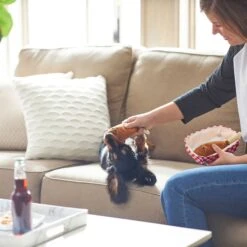 Frisco Corndog Interactive Plush Squeaky Dog Toy & Frisco Guacamole Hide & Seek Puzzle Plush Squeaky Dog Toy 3 Frisco Corndog Interactive Plush Squeaky Dog Toy & Frisco Guacamole Hide & Seek Puzzle Plush Squeaky Dog Toy -Frisco Sales Store 962086 PT3. AC SS1800 V1694782979