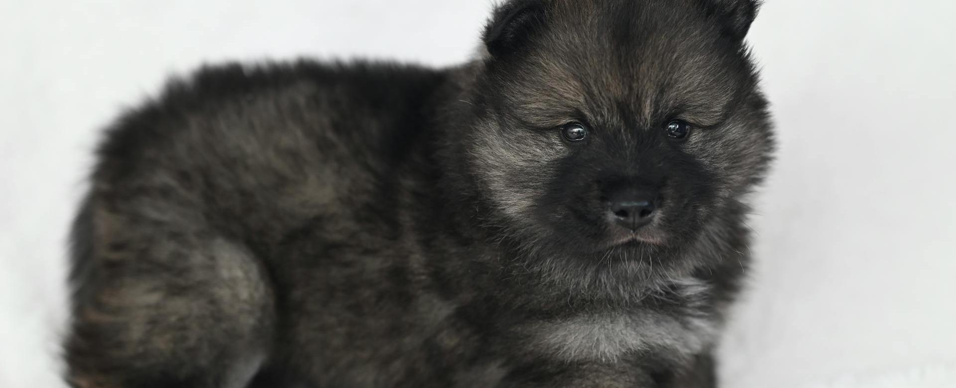 Frisco Sales Store 26 Frisco Sales Store -Frisco Sales Store pexels jaclou dl 30803798