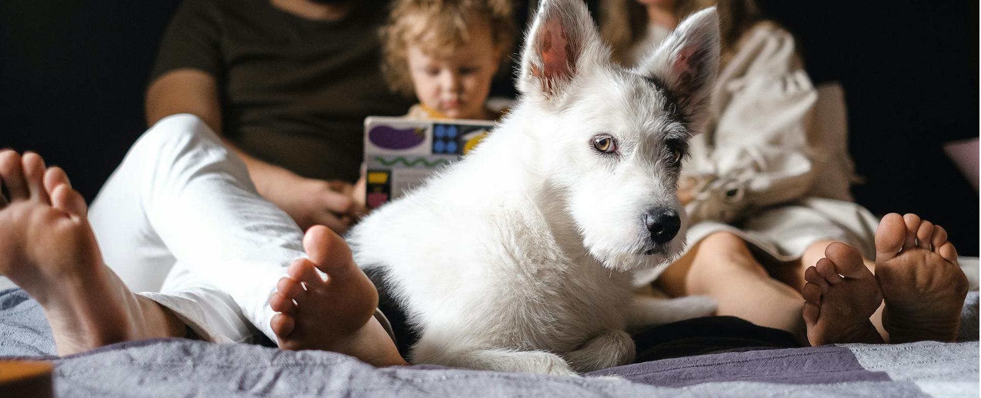 Frisco Sales Store 9 Frisco Sales Store -Frisco Sales Store pexels shvetsa 4586632